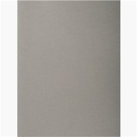 Set of Subfolders Exacompta Grey A4 100 Pieces (5 Units)