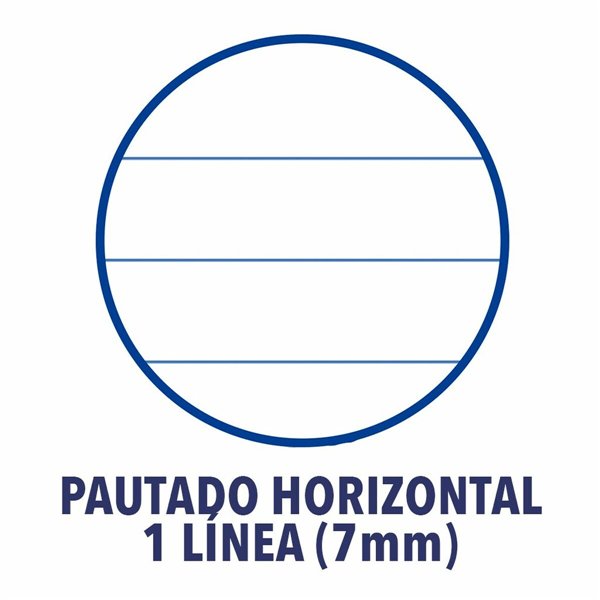 Book of Rings ENRI Quarto 80 Sheets (10 Units)