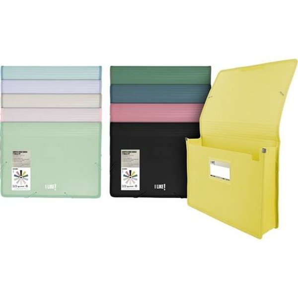 Folder Grafoplas MAXI A4+ (14 Units)