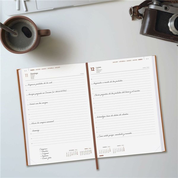 Diary Finocam Brown 16,5 x 24 cm