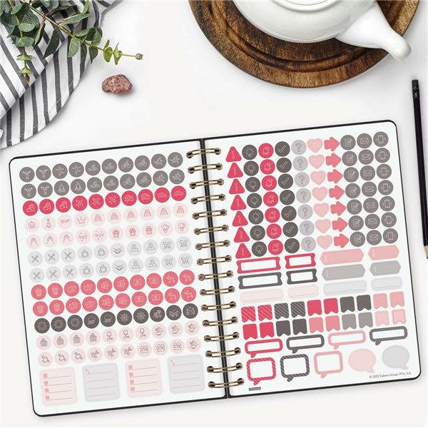 Diary Finocam Alma Black A5 15,5 x 21,2 cm 2026