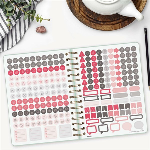 Diary Finocam Alma Mint A5 15,5 x 21,2 cm 2026