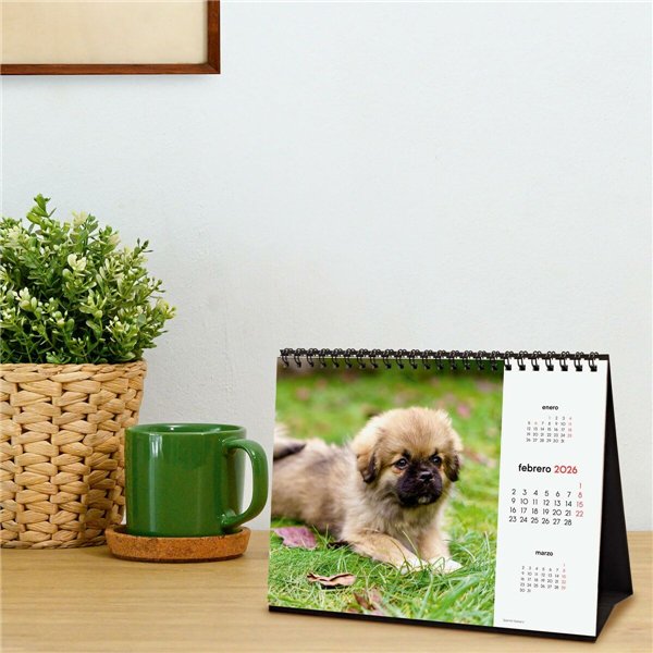 Desktop Calendar Finocam Multicolour Paper 21 x 15 cm