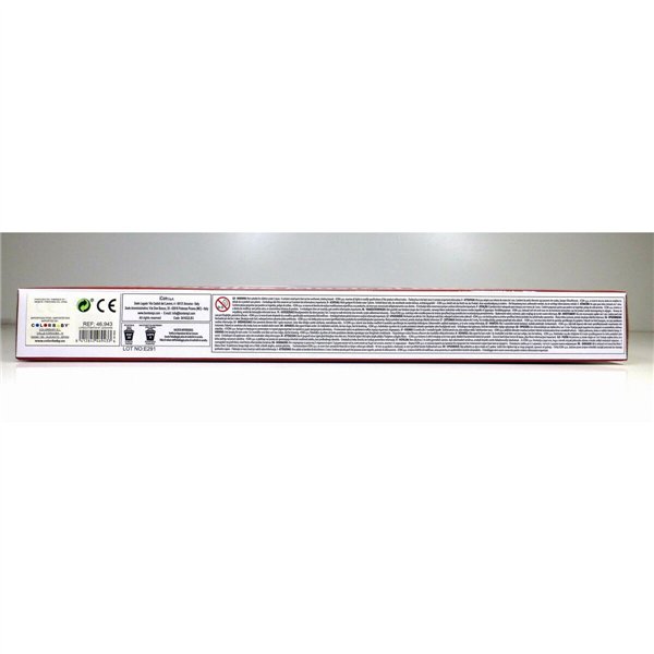 Educational Learning Piano Bontempi