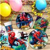 Party supply set Spider-Man 66 Pieces
