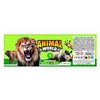 Animal figures Colorbaby 19 Pieces Jungle Plastic 14 x 6 x 5 cm (6 Units)