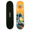 Skateboard Colorbaby (2 Units)
