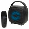 Speaker with Karaoke Microphone Bontempi