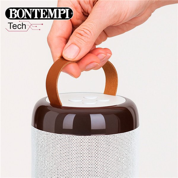 Speaker with Karaoke Microphone Bontempi