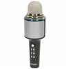 Karaoke Microphone Bontempi