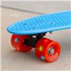 Skateboard EVO (4 Units)