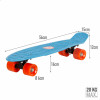 Skateboard EVO (4 Units)
