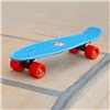 Skateboard EVO (4 Units)