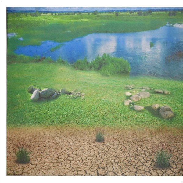 Set of Farm Animals Colorbaby Plastic 16 x 12 x 4 cm (4 Units)