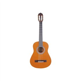 Guitar Arrow L2050024