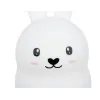 RGB Night Light with Remote Control - Rabbit
