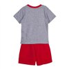 Set of clothes Mickey Mouse Grey
