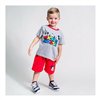 Set of clothes Mickey Mouse Grey