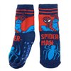 Socks Spider-Man Multicolour 2 pairs