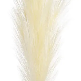 Costume for Children Wizard (3 Pcs)