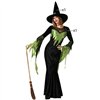 Costume for Adults Green Witch Adults