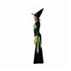 Costume for Adults Green Witch Adults