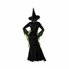 Costume for Adults Green Witch Adults
