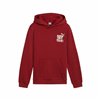 Children’s Hoodie Puma Essentials+ Mid 90S