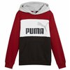 Children’s Hoodie Puma Essentials Block