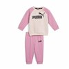 Children’s Tracksuit Puma Minicats Ess Raglan Jogger Fl Pink