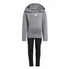 Children’s Tracksuit Adidas And Little Grey