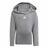 Children’s Tracksuit Adidas And Little Grey