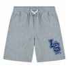 Shorts Levi's Lvb Monogram Dark grey Children's Men