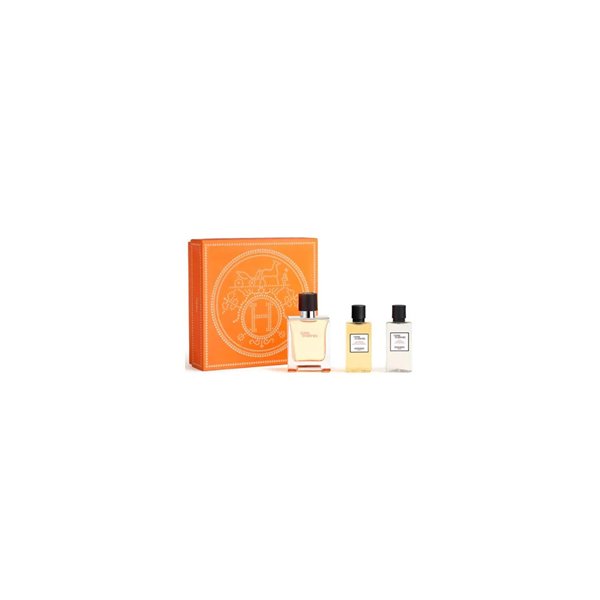 Hermès Terre D'hermes e T 50 Spray Gel40 Ash40