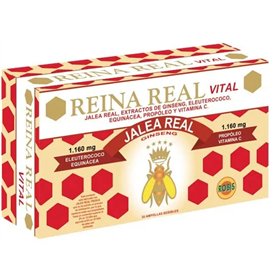 Robis Reina Real Vital 30 Amp