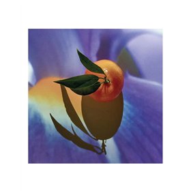 Мужская парфюмерия Loewe SOLO ELIXIR EDP 50 ml