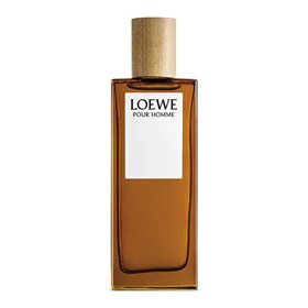 Мужская парфюмерия Loewe LOEWE POUR HOMME EDT 100 ml