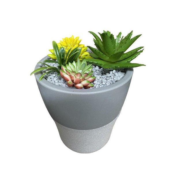 Setty humidifier NP-18 grey