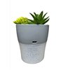 Setty humidifier NP-18 grey