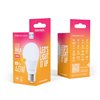 Forever Light LED Bulb E27 A55 4W 480lm 3000K class E
