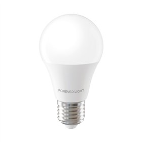 Forever Light LED Bulb E27 A55 4W 480lm 6000K class E