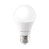 Forever Light LED Bulb E27 A55 4W 480lm 6000K class E