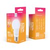 Forever Light LED Bulb E27 A60 12.8W 1520lm 3000K class E