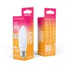 Forever Light LED Bulb E27 C37 4.2W 480lm 3000K class E