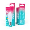Forever Light LED Bulb E27 C37 4.2W 480lm 4000K class E