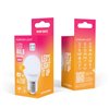 Forever Light LED Bulb E27 G45 4.2W 480lm 3000K class E