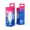 Forever Light LED Bulb E14 C37 4.8W 630lm 6000K class E