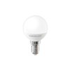 Forever Light LED Bulb E14 G45 4.8W 630lm 4000K class E