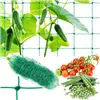 Mesh - plant support 2x20m Gardlov 23980