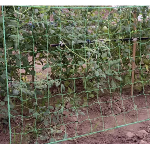 Võrk - taimetugi 2x20m Gardlov 23980